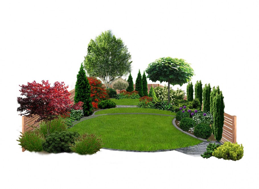 Кусты цветов на прозрачном фоне