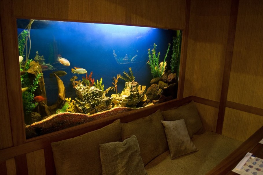 Аквариум BIORB Flow 30 led