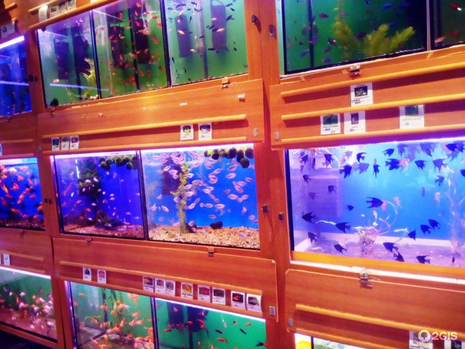 Аквариумы Нала