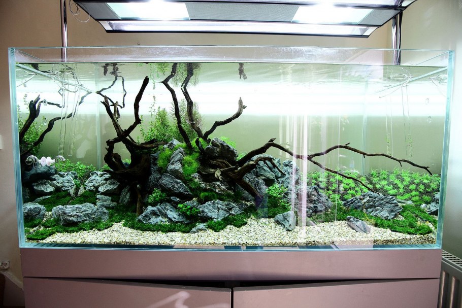 Аквариум в интерьере