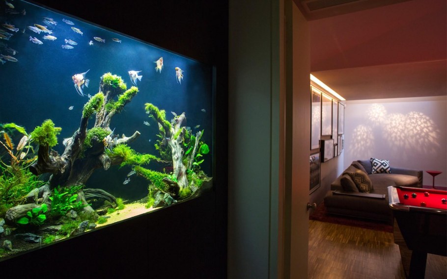 Дизайнерские аквариумы