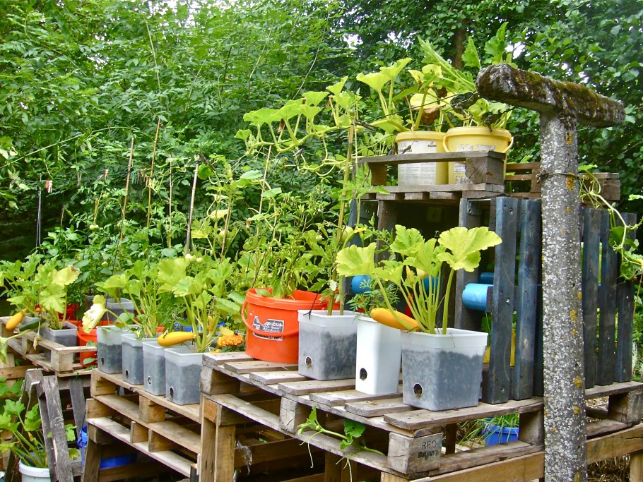 Сад огород ГЭС