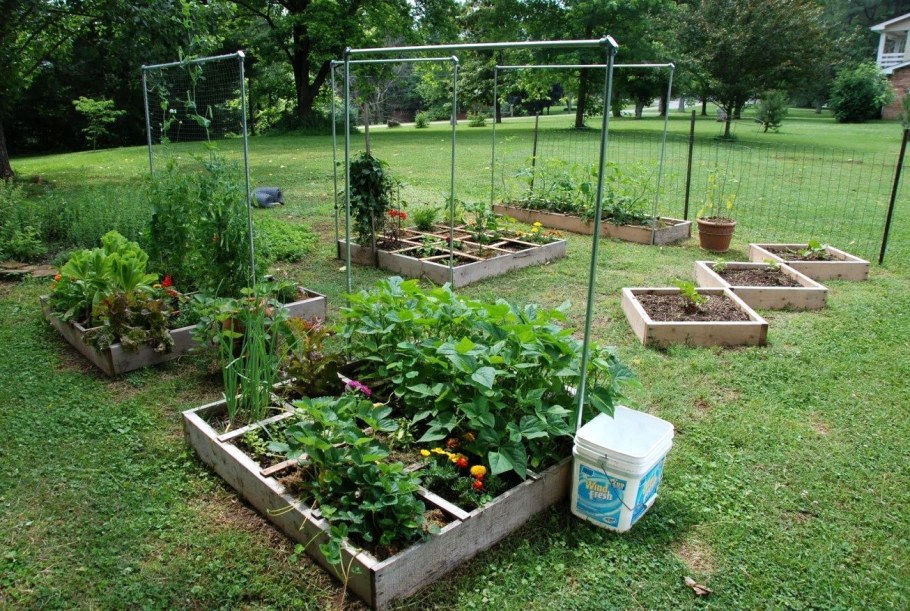 Мой огород и дача