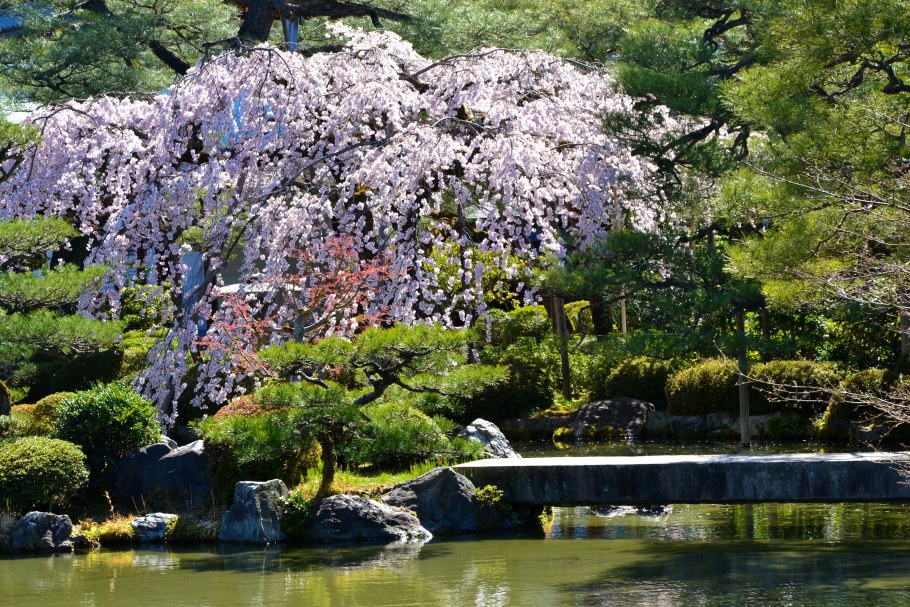 Сад камней медитация