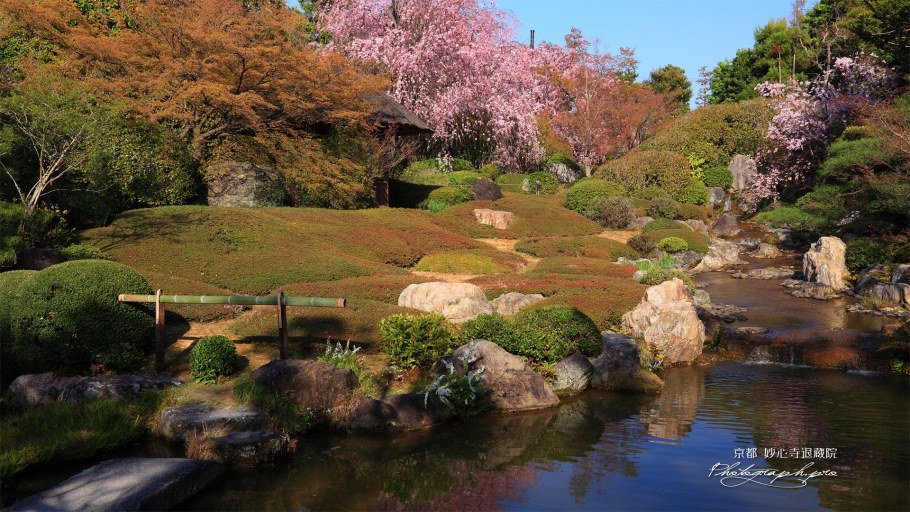 Сад камней в Ботаническом саду в Москве