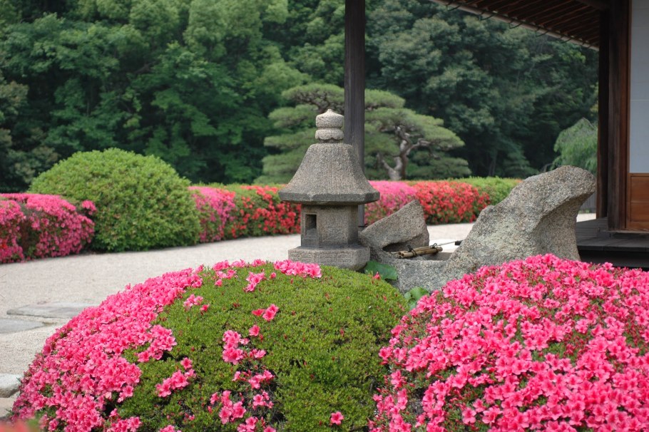 Японский сад