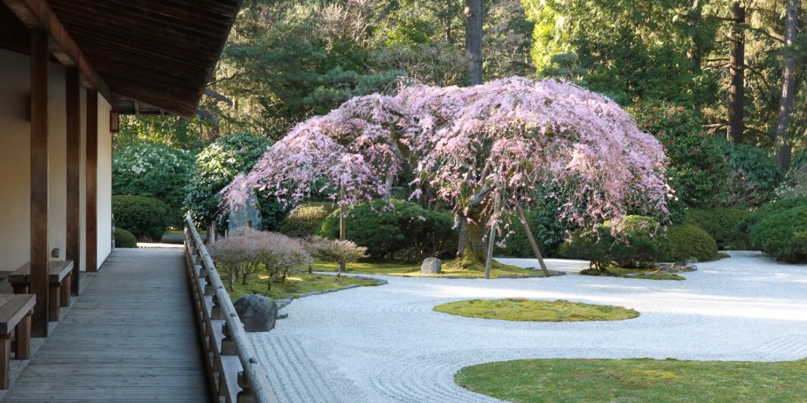 Пруд мишакайке, Япония