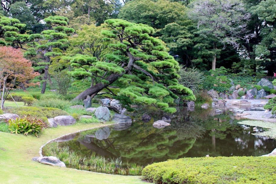 Фукуока Япония природа