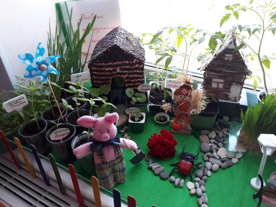 Огород в детском саду