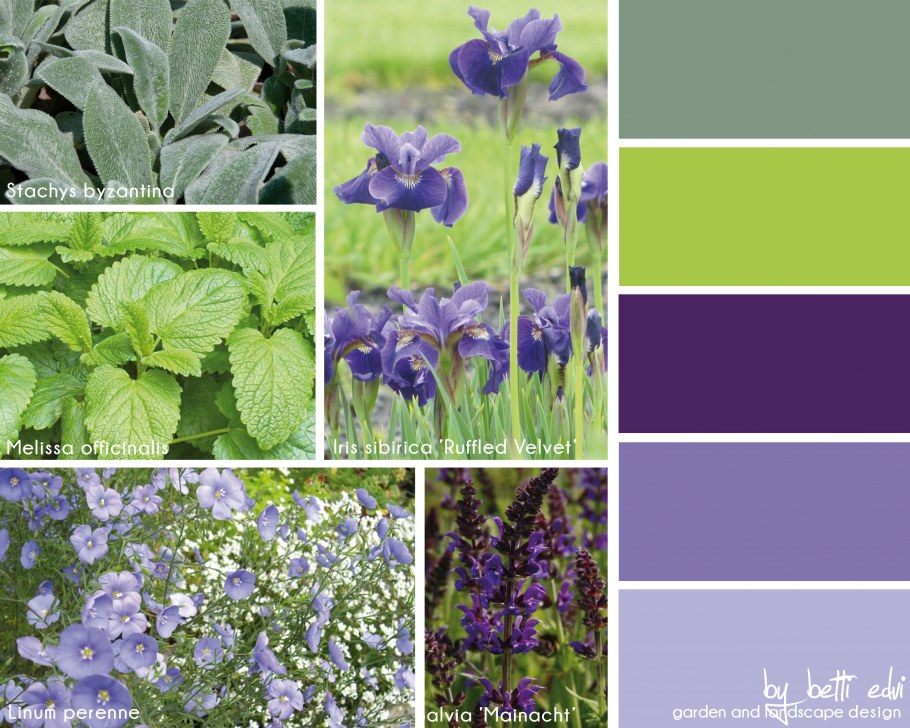 Мелисса + шалфей