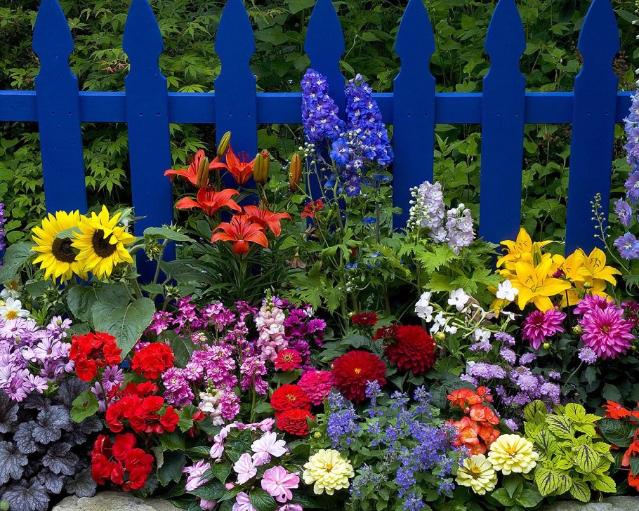 Клумба Бабушкин палисадник