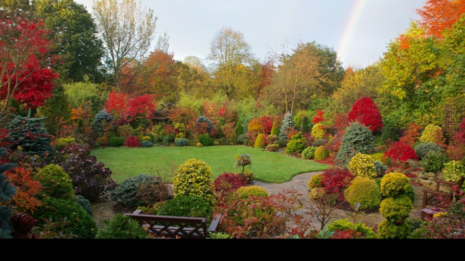 Осенний сад ландшафт