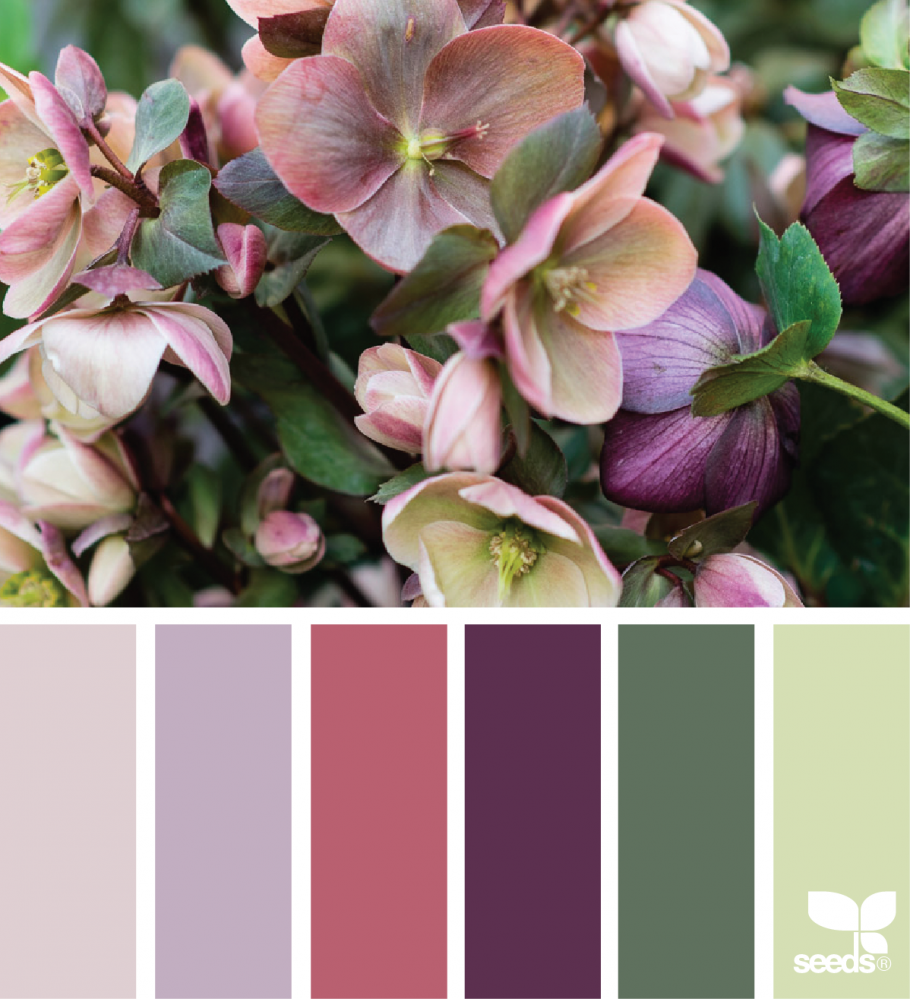 Цветовая палитра Дискавери колор