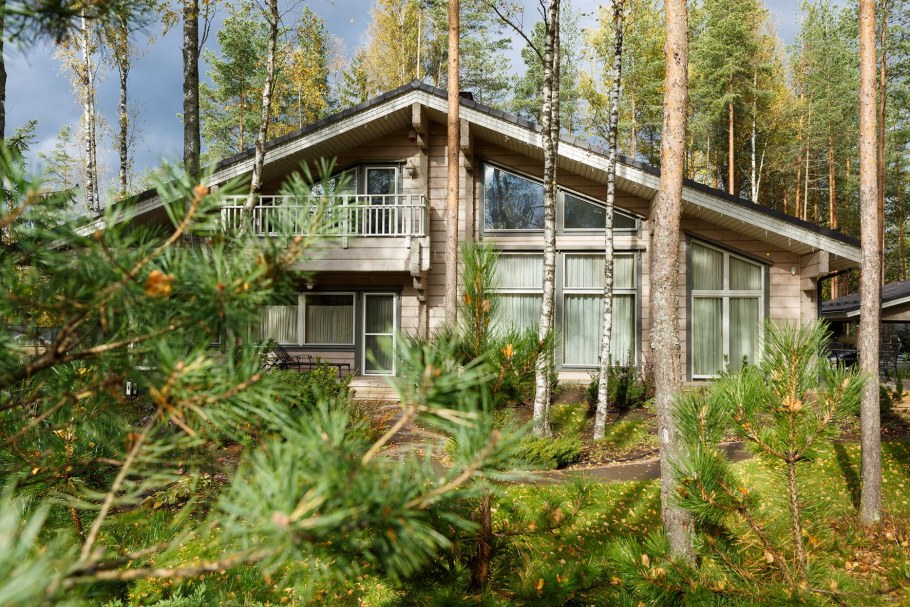 Сафонтьево Honka