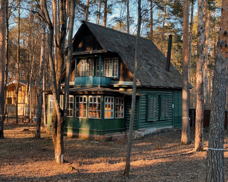 Интерьер подмосковных дач старых