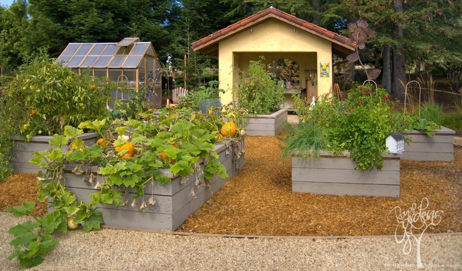 Красивые дачные огороды