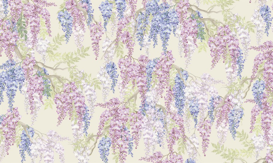 Глициния палитра цветов