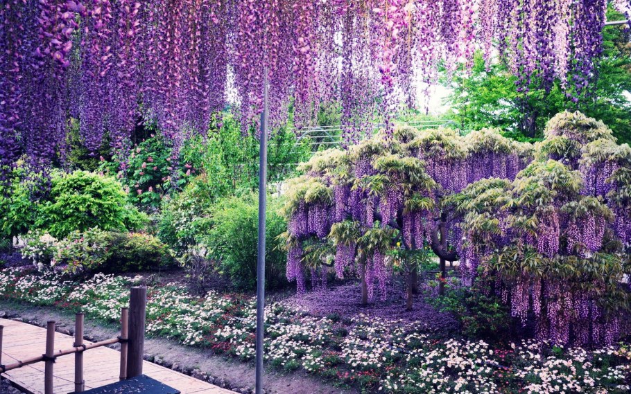 Галерея декор