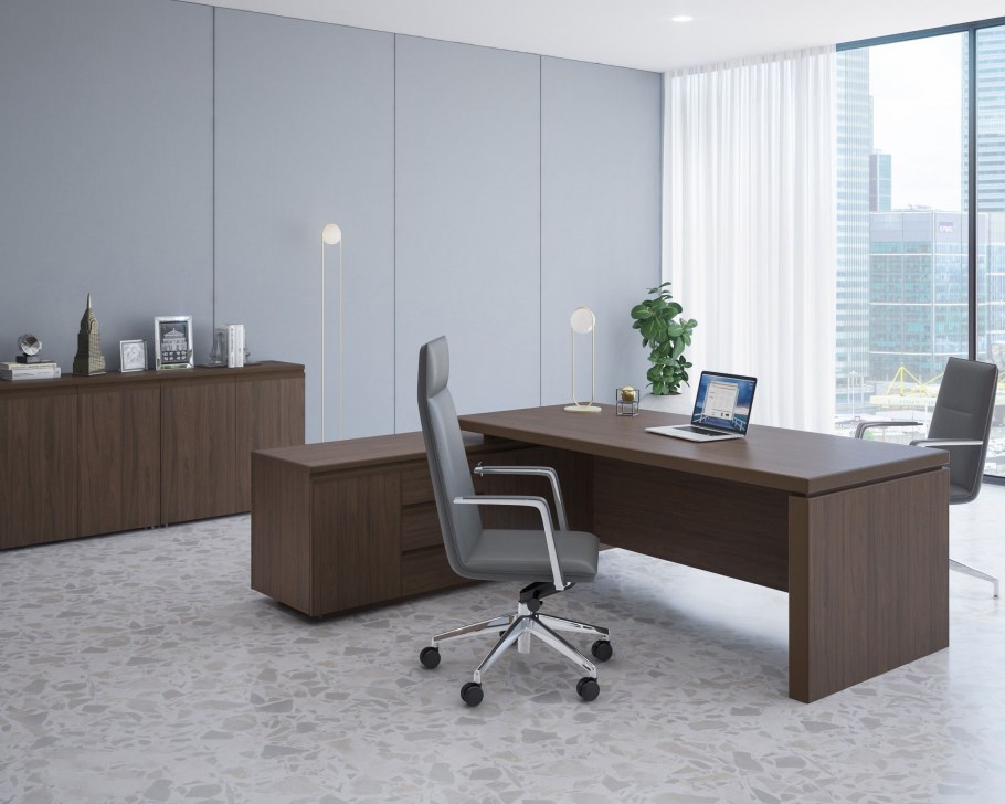 Кабинет руководителя Консул Феликс