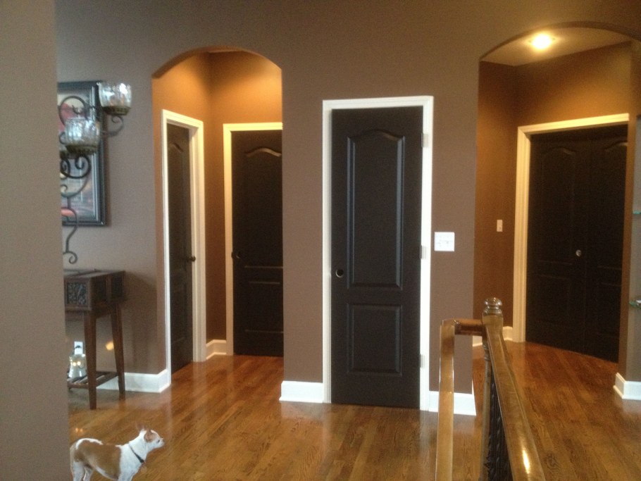 Темные двери в интерьере