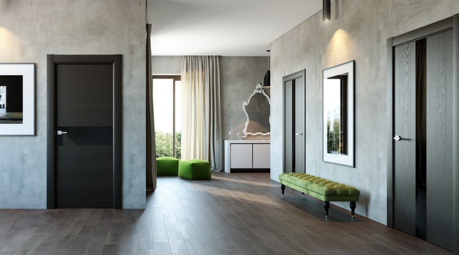 Темные двери в Светлом интерьере