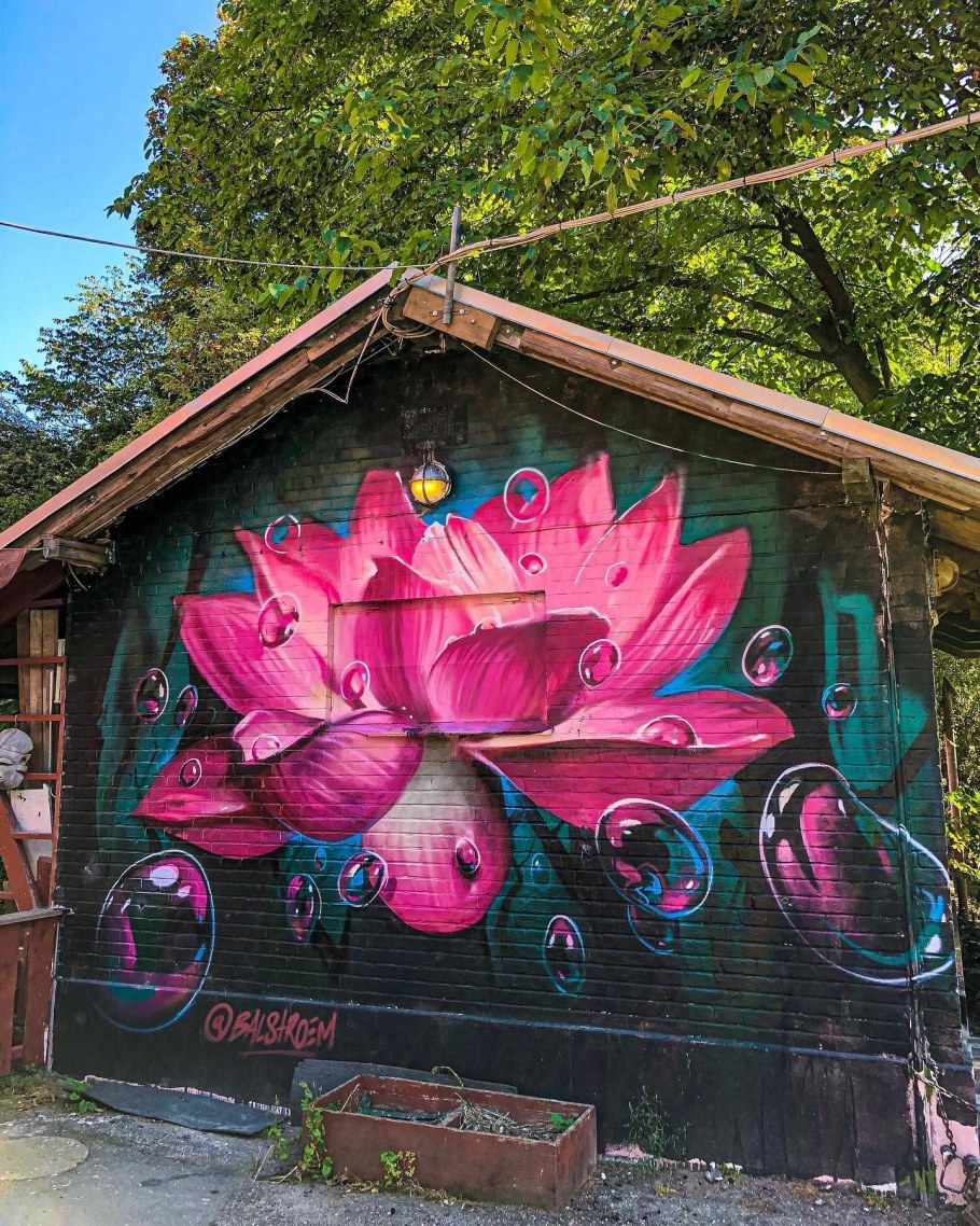 Роспись на заборах и стенах