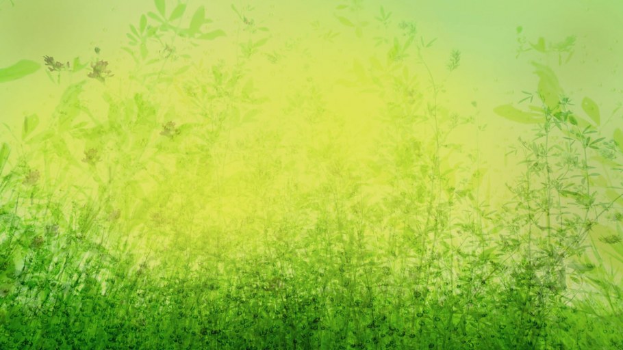 Салатовый интерьер