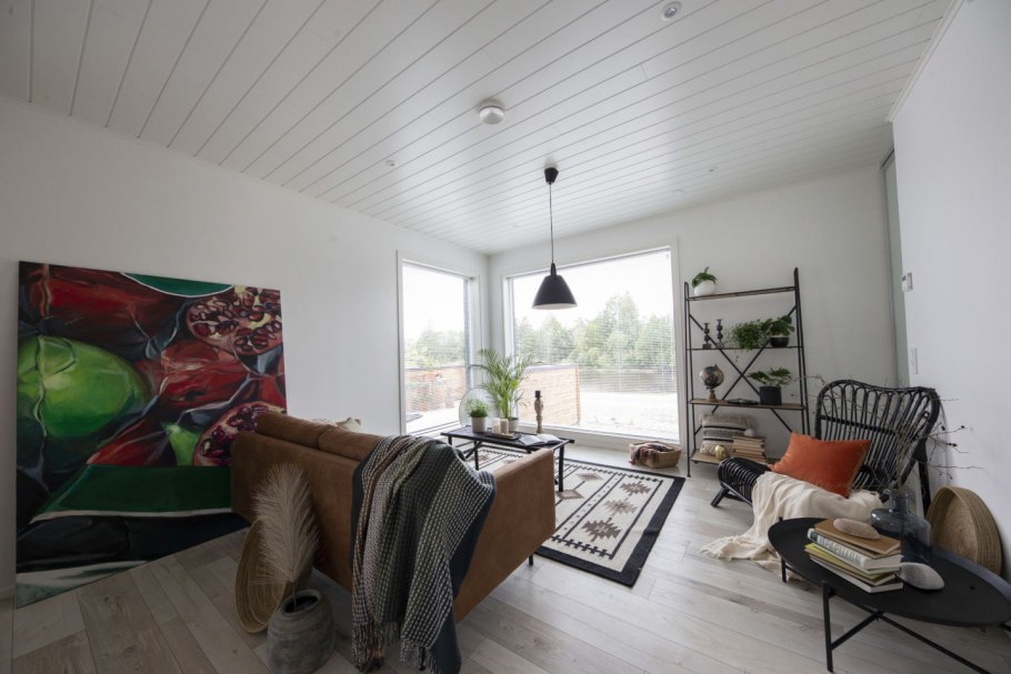 Дома в Финляндии внутри и снаружи