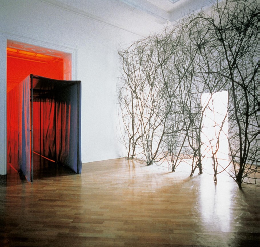 Олафур Элиассон художник