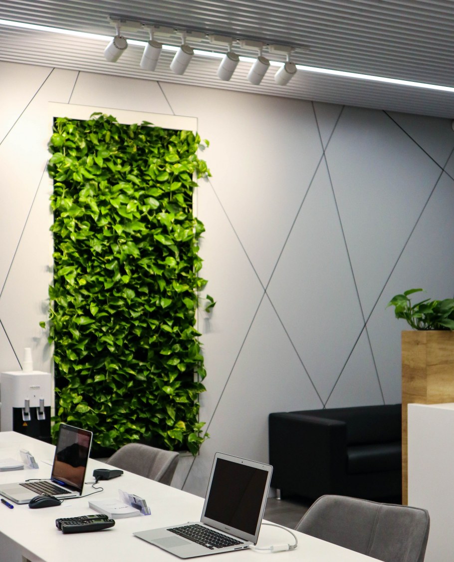 Фитостены вертикальное Озеленение