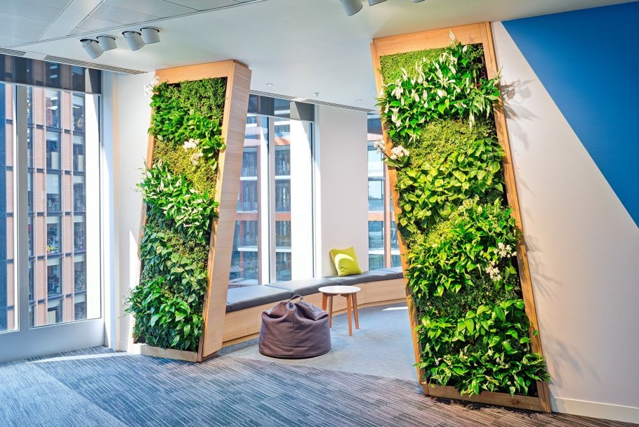 Зеленая фитостена