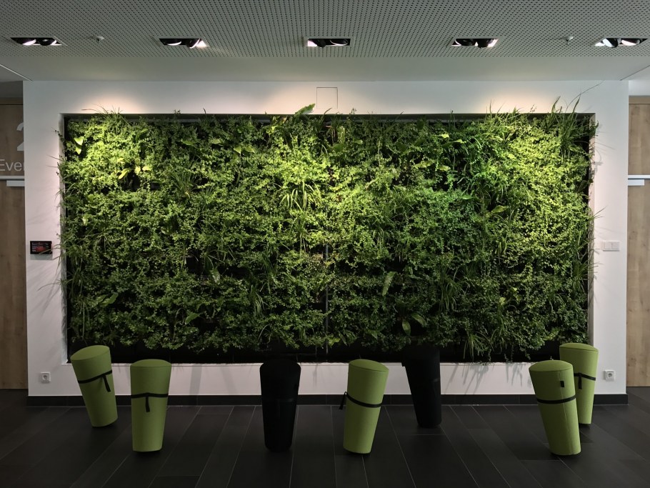 Фитостена в офисе