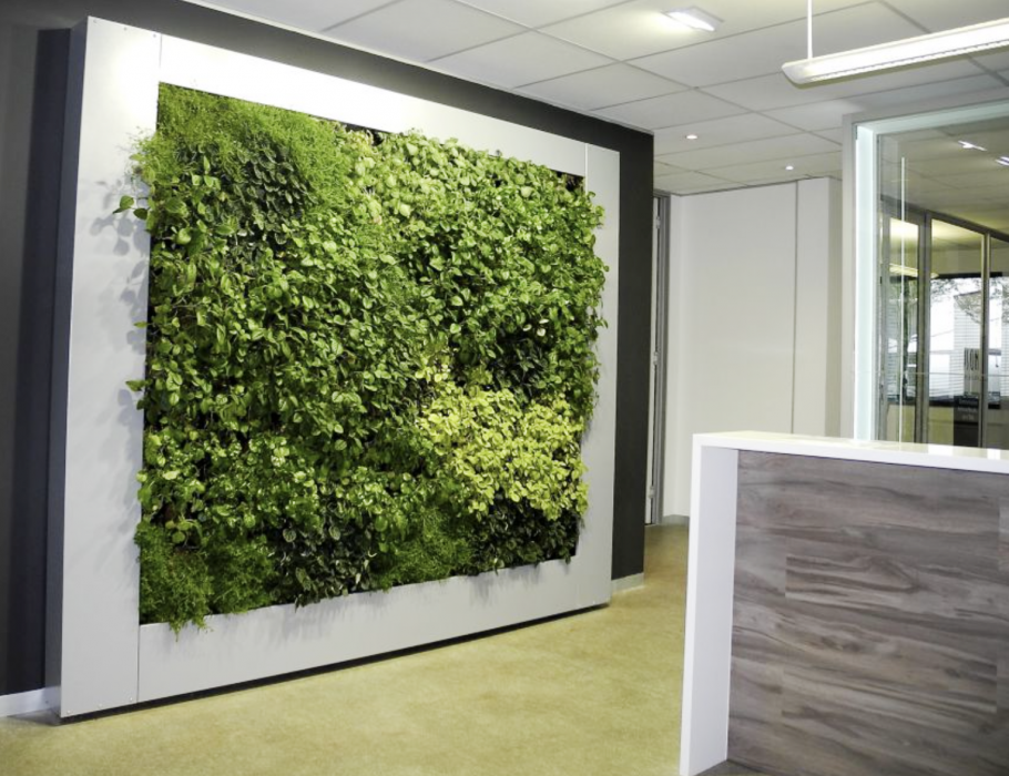 Фитостена с автополивом