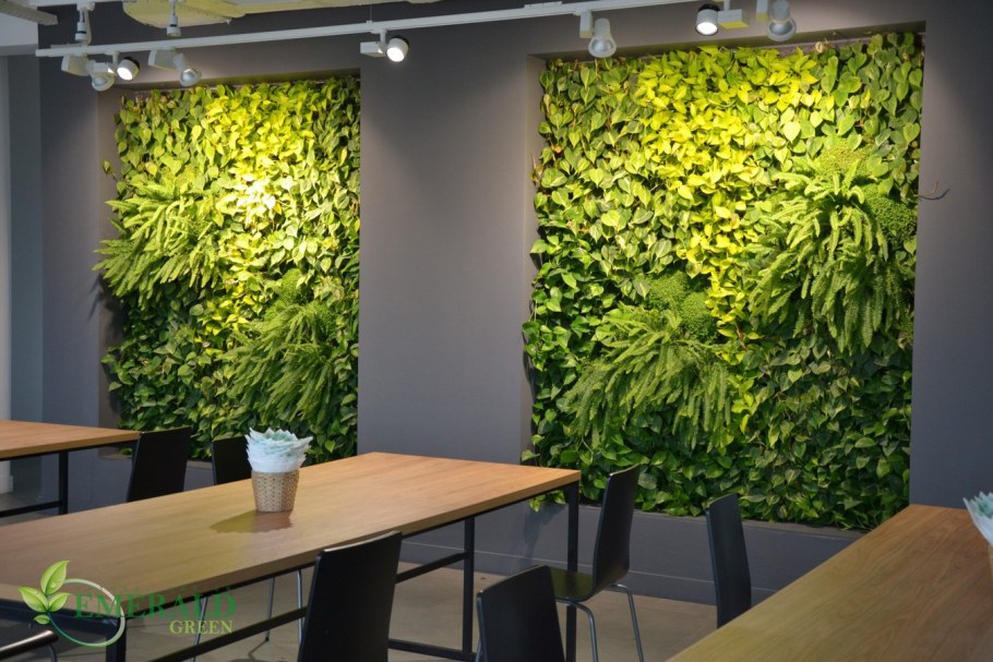 Фитостена с зеркалом