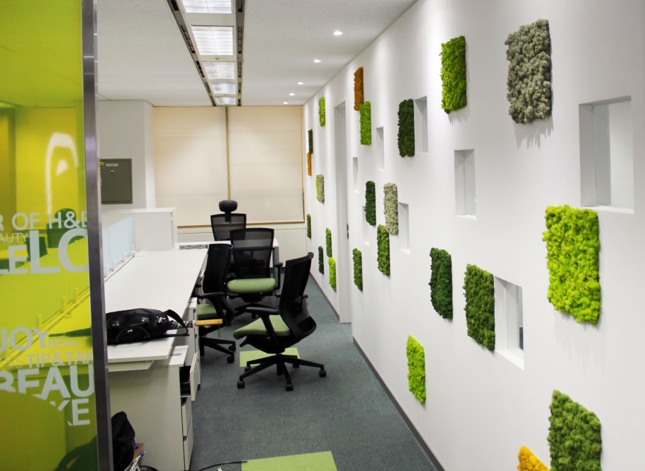 Зеленые стены в офисе