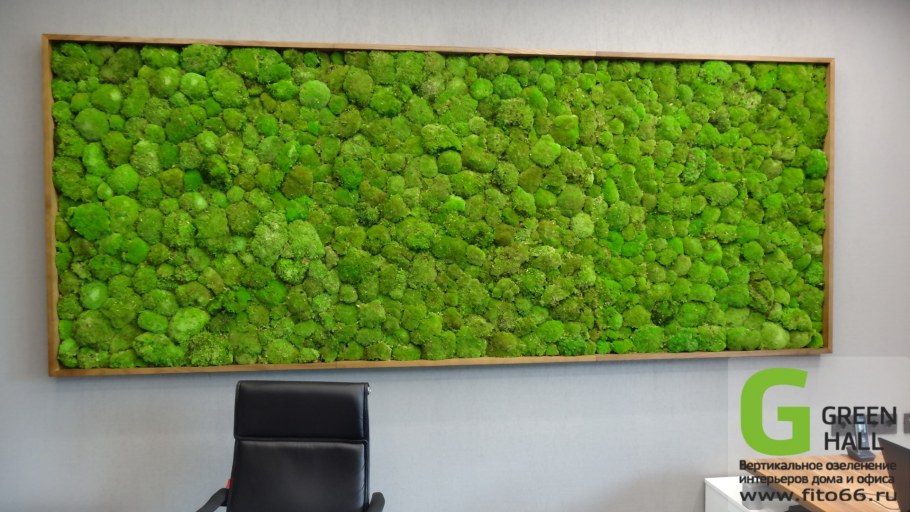 Стабилизированный мох