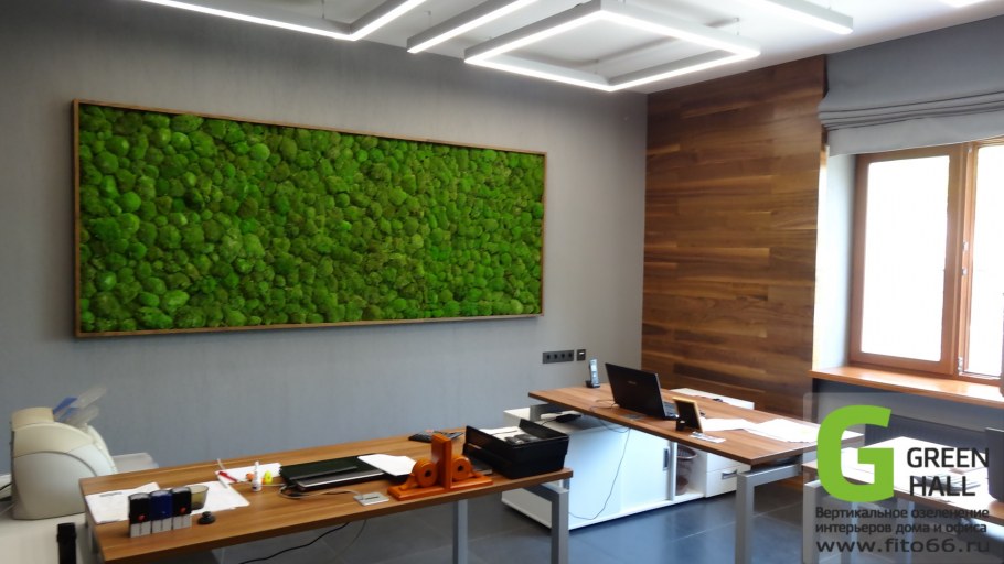 Озеленение офиса мхом