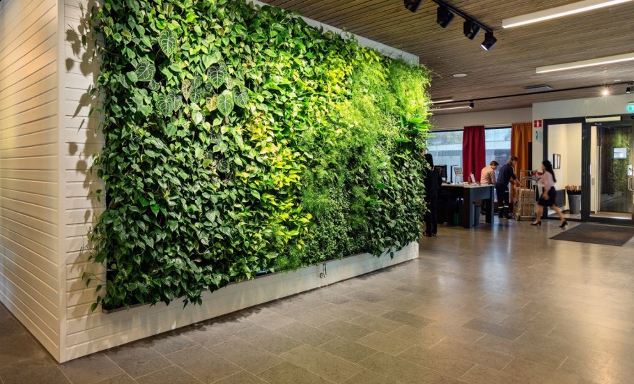 Фитостена вертикальное Озеленение