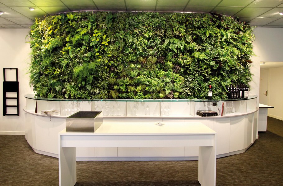 Озеленение ресепшн