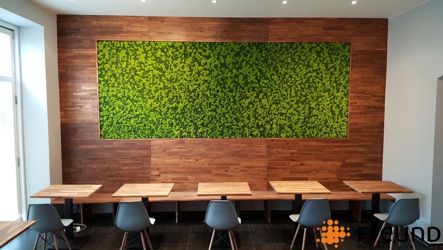 Стеновые панели из мха