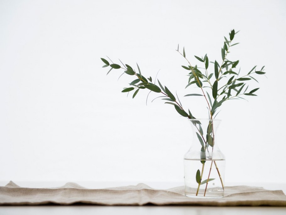 Цветы Минимализм