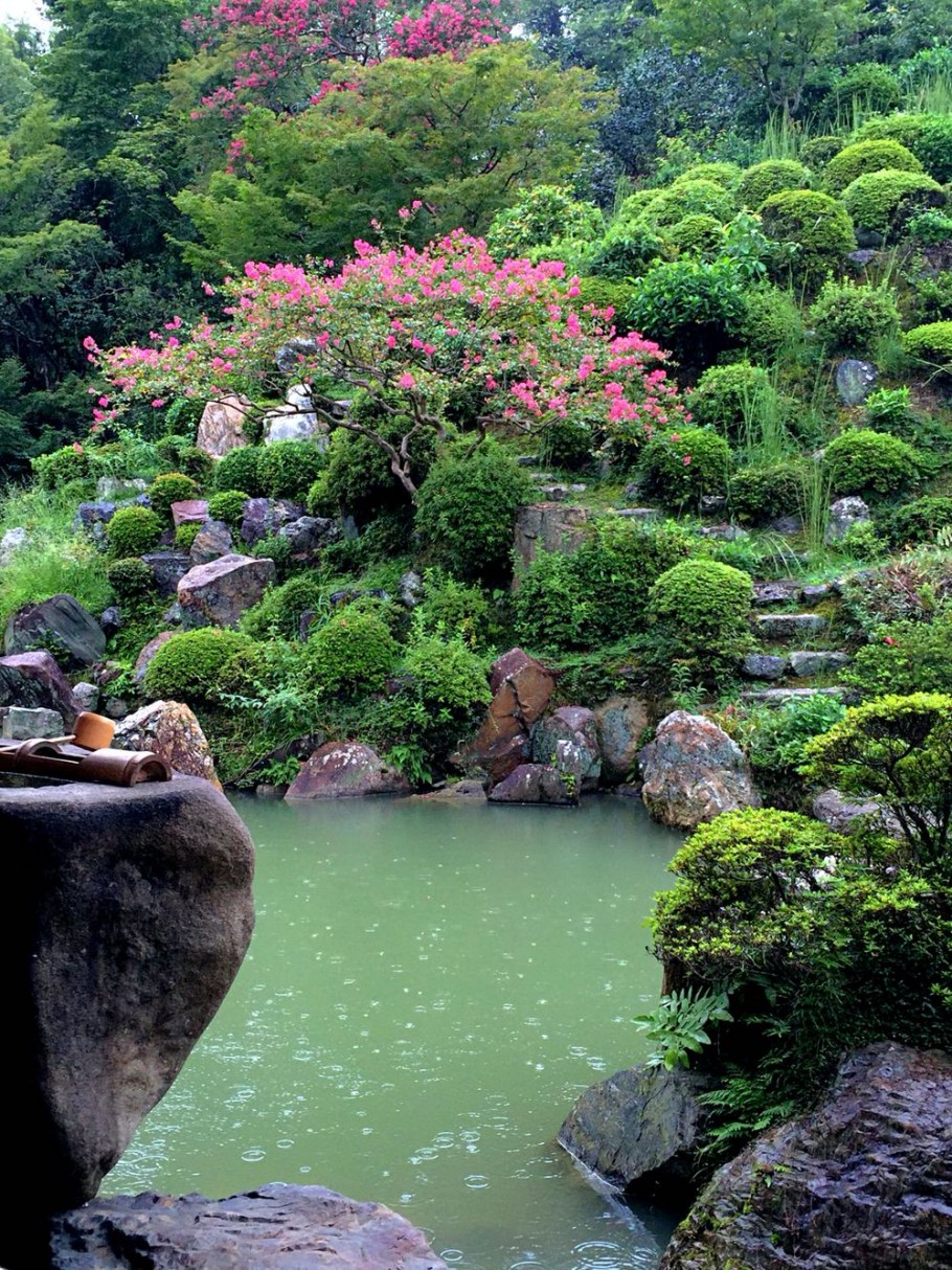 Кораку Шинсуи