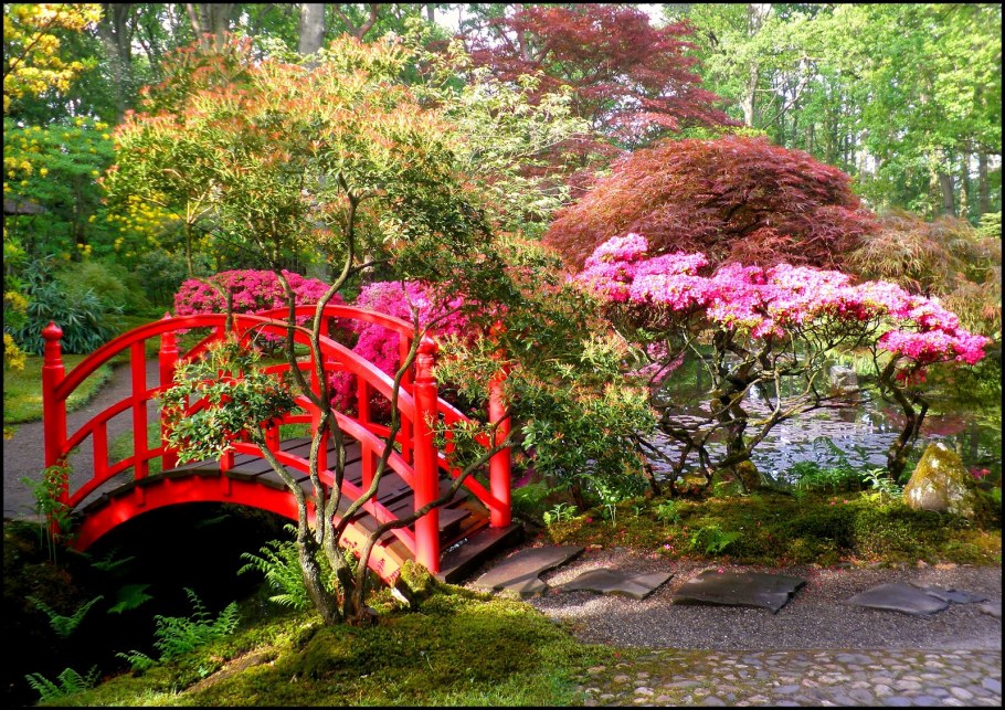Парк в Японии мостик