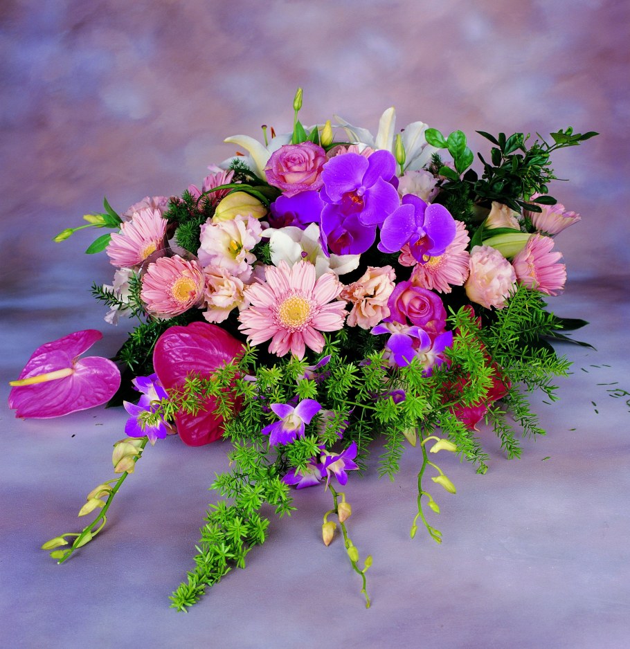 Фиолетовые цветы на окне