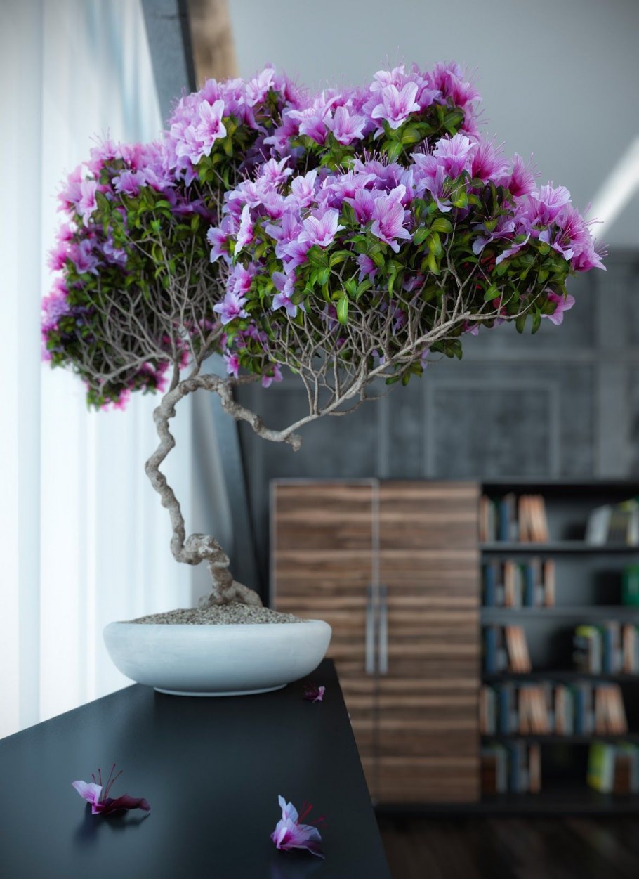 Фитодизайн бонсай