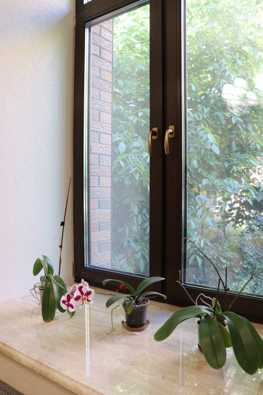 Деревянные окна в английском стиле