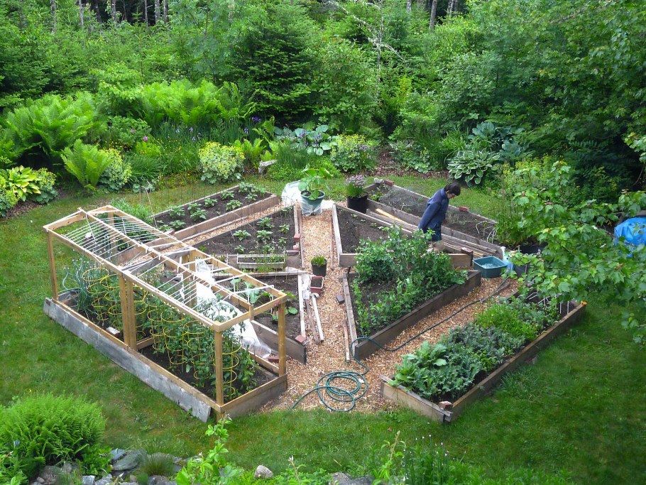 Треугольные грядки на даче