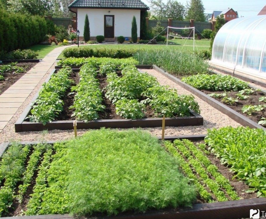 Планировка огорода