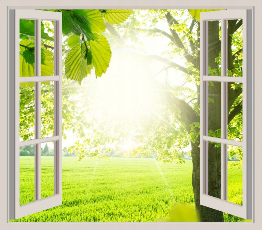Окно в природу