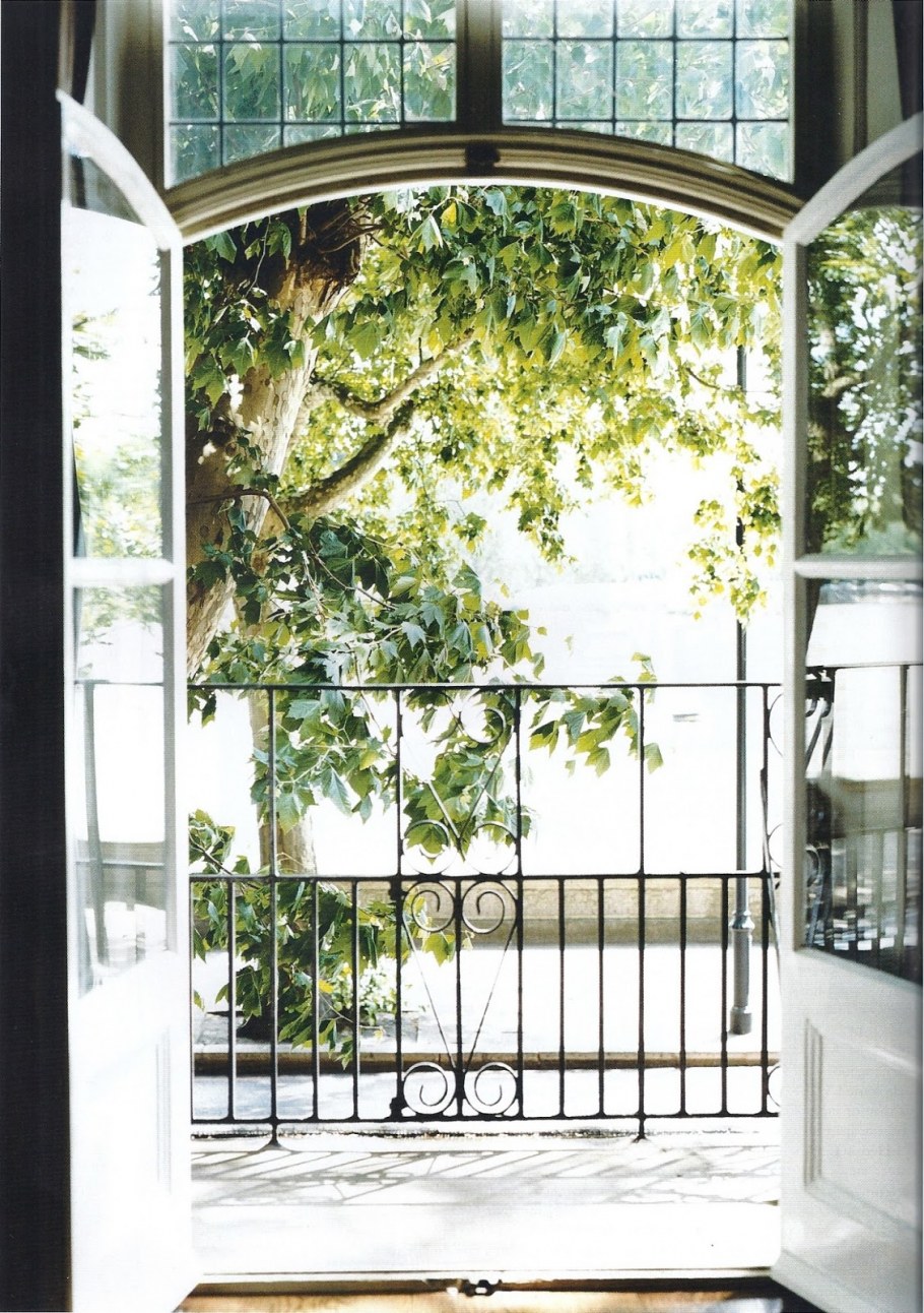 Вид из французского окна